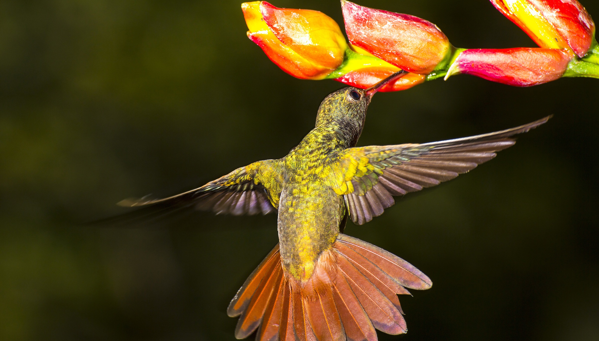 Aprovechamiento de flora y fauna